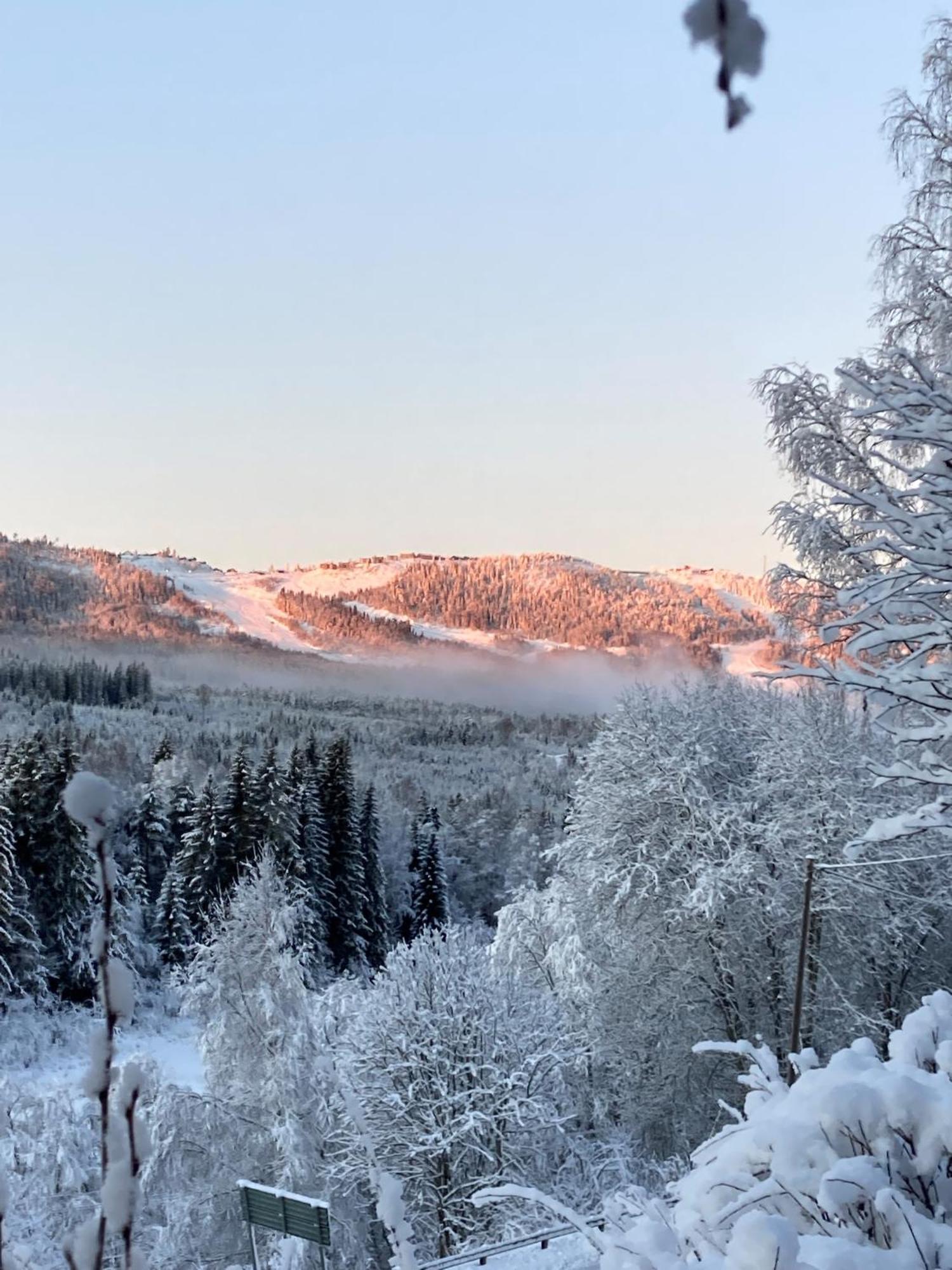 Charmig Villa Med Bastu Och Snabbt Wifi Långav Kültér fotó